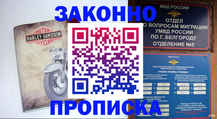 прописка для школы в Владимире